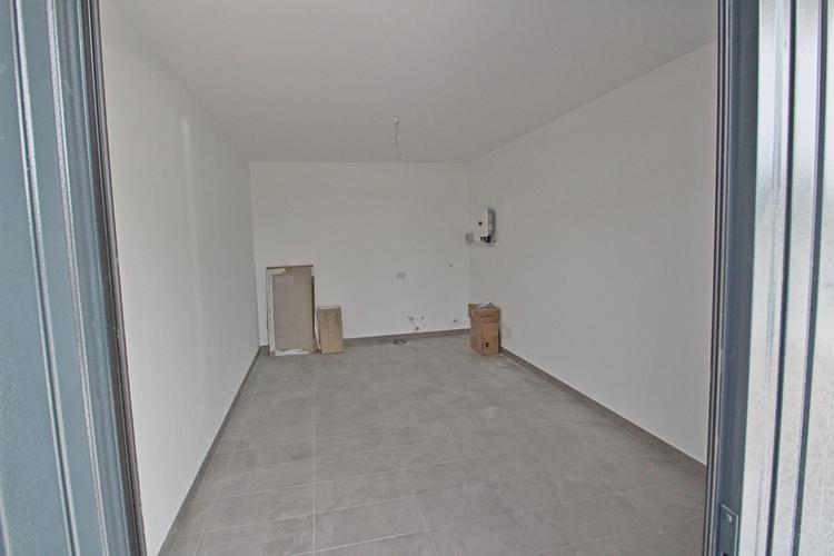  id.5271041