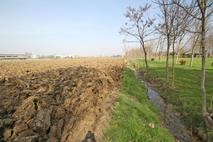 TERRENO EDIFICABILE in Vendita