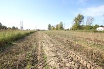 PORZIONE DI RUSTICO CON TERRENO AGRICOLO ED EDIFICABILE in Vendita
